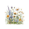 Wild flowers
