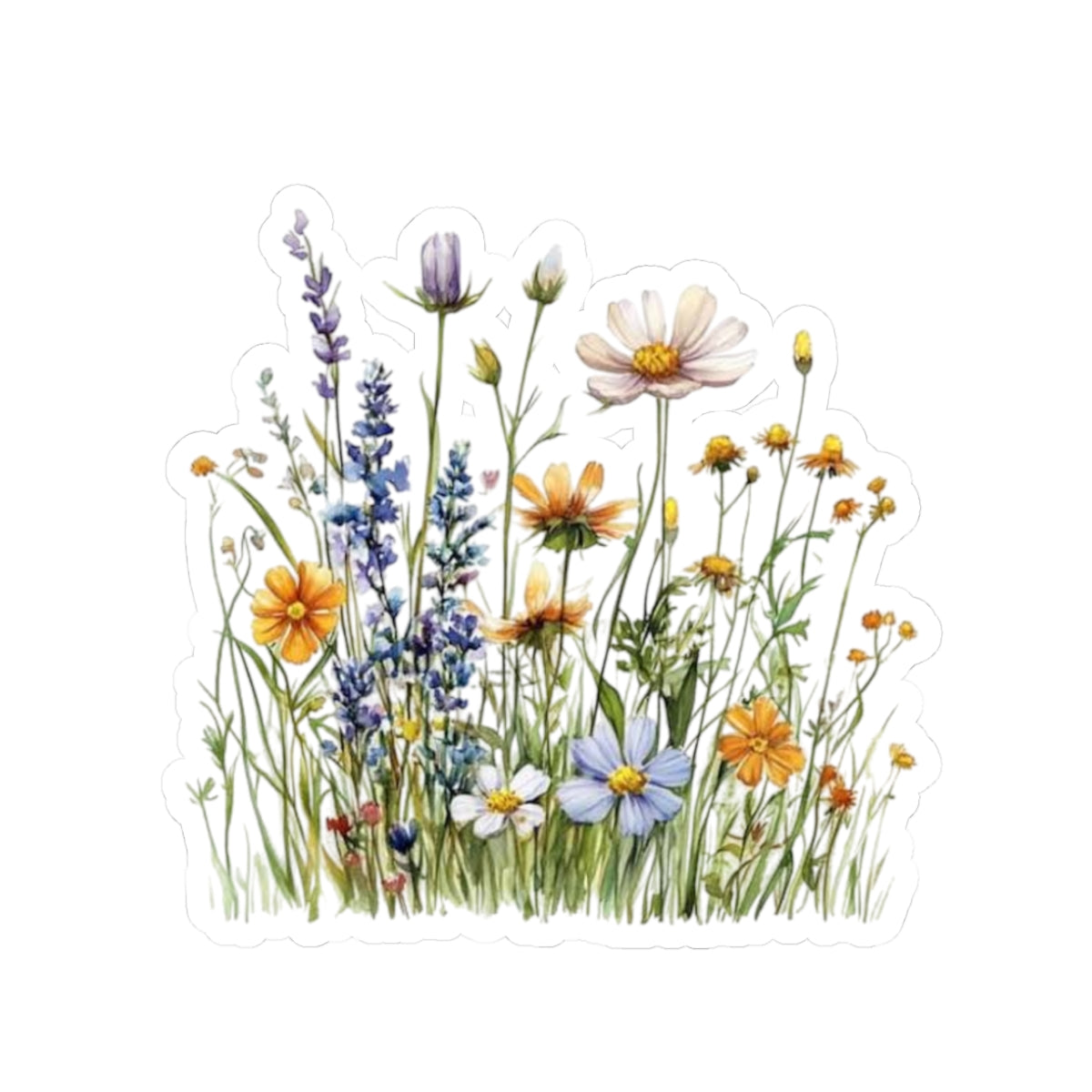 Wild flowers