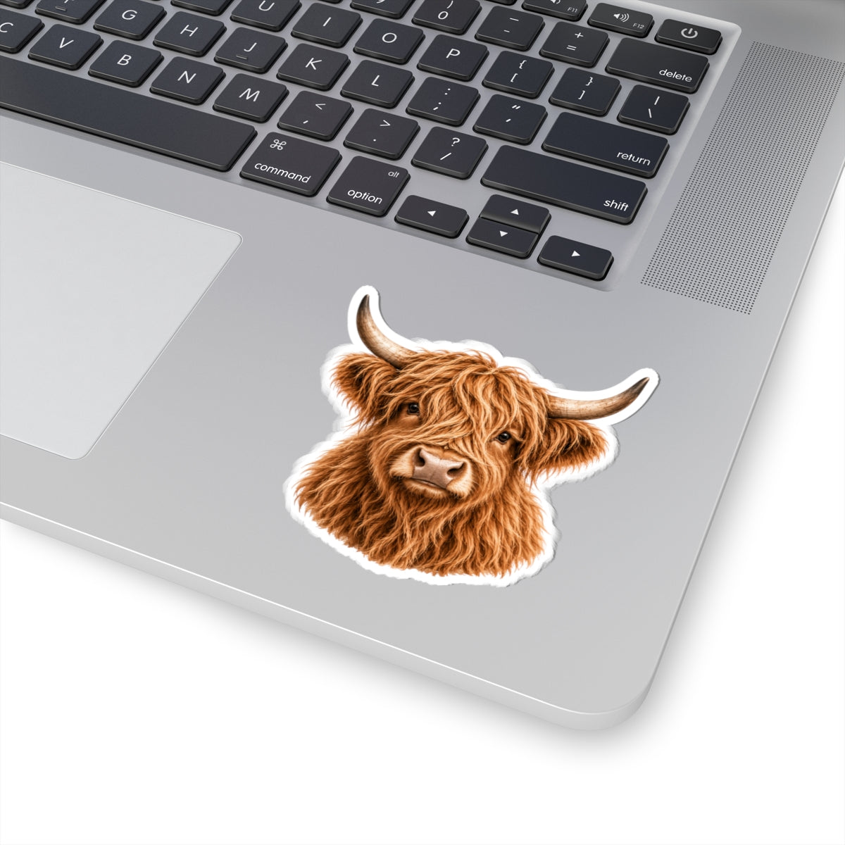 Highland Cow Head Sticker