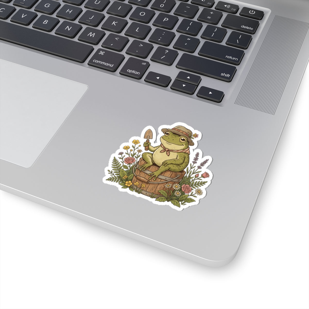 Toad 3